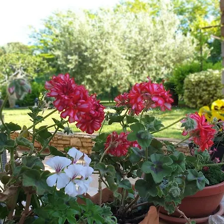 Lucas アパート メドゥリン