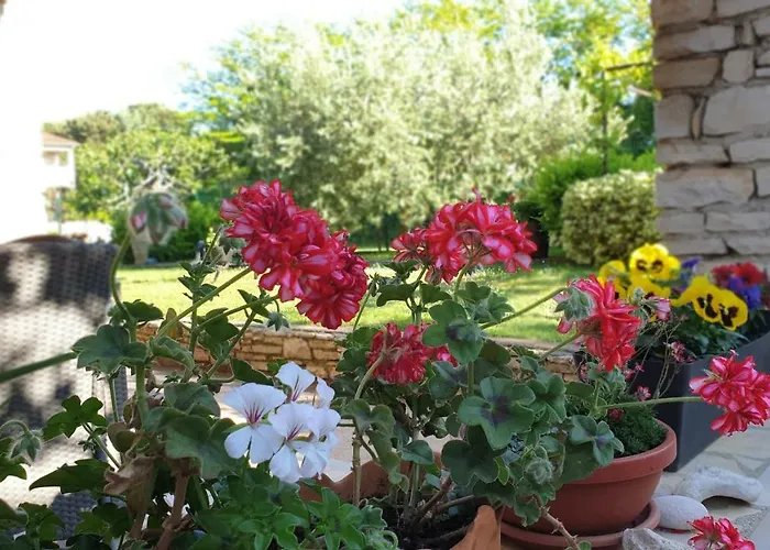 Lucas Apartman Medulin